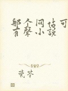 那个网站可以听有声小说封面