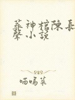 葬神棺陈长安有声小说封面
