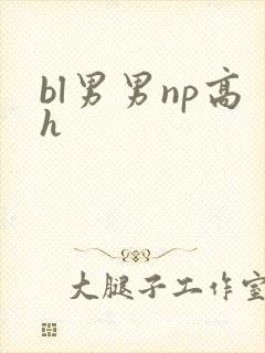 bl男男np高h