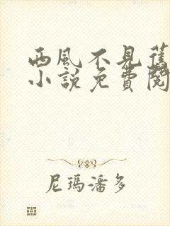 西风不见旧时景小说免费阅读全文
