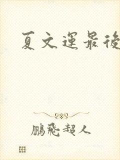 夏文运最后结局封面
