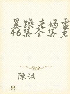 暴躁老妈电视剧46集全集免费播放封面