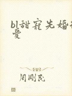 bl甜宠先婚后爱