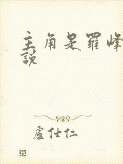 主角是罗峰的小说
