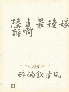 陆贞最后嫁给了谁啊封面