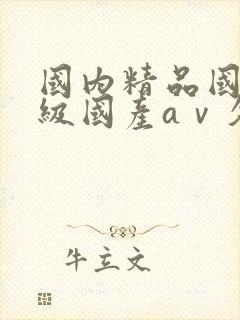 国内精品国产三级国产aⅴ久