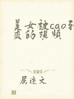 美女被cao到爽的视频