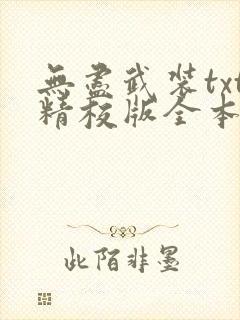 无尽武装txt精校版全本