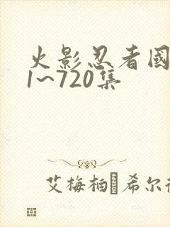 火影忍者国语版1~720集