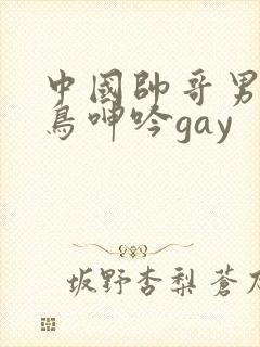 中国帅哥男同大鸟呻吟gay