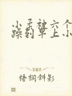小柔被六个男人躁到早上小说