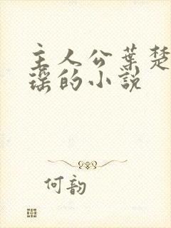 主人公叶楚姜君瑶的小说