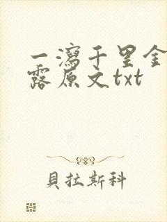 一泻千里金银花露原文txt