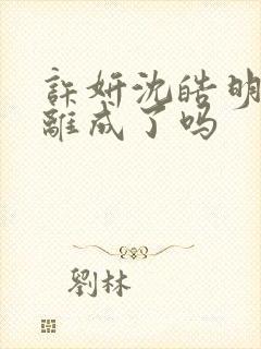 许妍沈皓明最后离成了吗