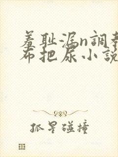 羞耻漏n调教尿布把尿小说双性