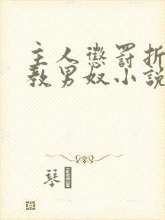 主人惩罚折磨调教男奴小说