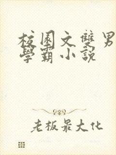 校园文双男主双学霸小说