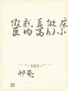 假戏真做床戏(巨肉高h)小说