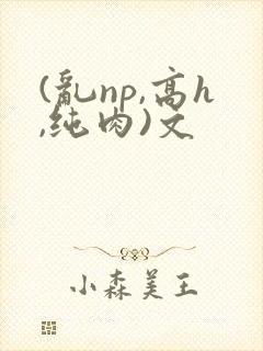 (乱np,高h,纯肉)文