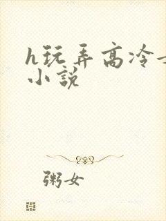 h玩弄高冷女神小说封面