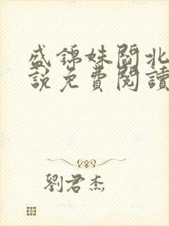 盛锦姝阎北铮小说免费阅读无弹窗封面