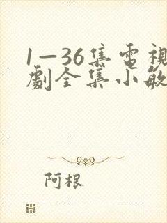 1—36集电视剧全集小敏家