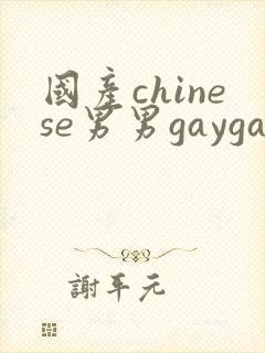 国产chinese男男gaygay无套网站封面