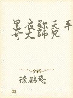 黑夜弥天平平无奇大师兄封面