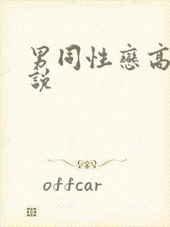 男同性恋高h小说