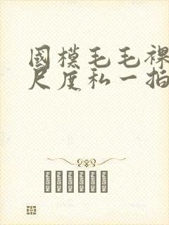 国模毛毛裸体大尺度私一拍