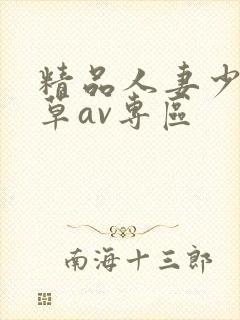 精品人妻少妇嫩草av专区封面