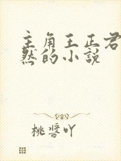 主角王正君李依然的小说