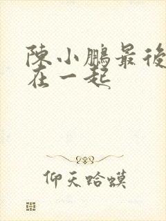 陈小鹏最后和谁在一起