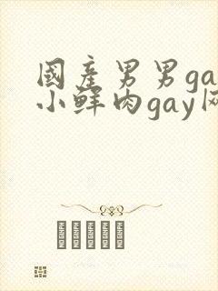 国产男男gay小鲜肉gay网站亚洲