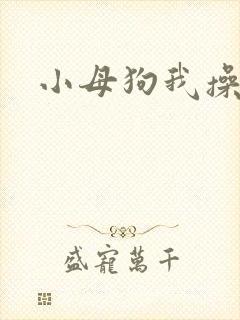 小母狗我操死你