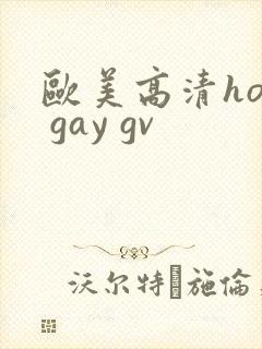 欧美高清hot gay gv
