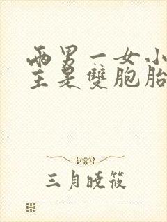 两男一女小说男主是双胞胎封面