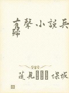 有声小说兵王回归