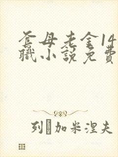套母老金14入职小说免费阅读笔趣阁最