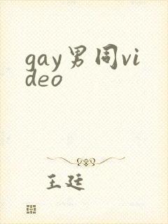 gay男同video