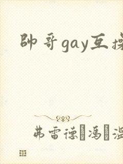 帅哥gay互操