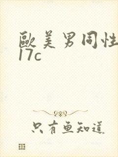 欧美男同性网站17c封面