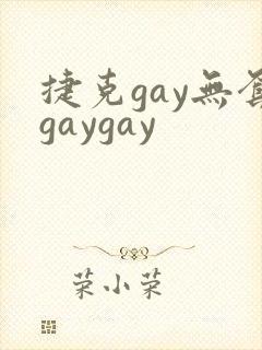 捷克gay无套gaygay封面