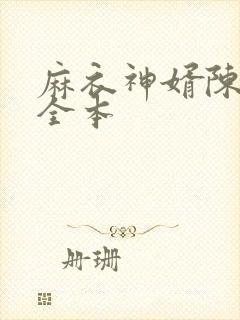 麻衣神婿陈黄皮全本