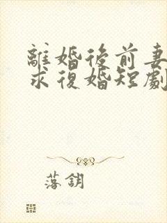 离婚后前妻哭着求复婚短剧全集