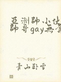 亚洲帅小伙激情帅哥gay无套