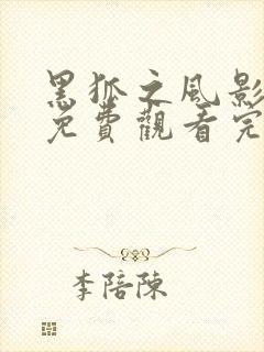 黑狐之风影全集免费观看完整版