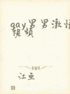 gay男男激情视频