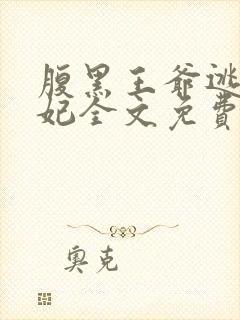 腹黑王爷逃跑王妃全文免费封面