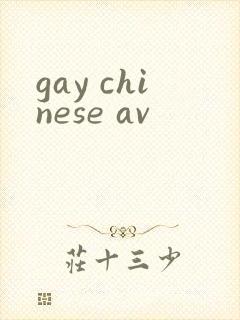 gay chinese av